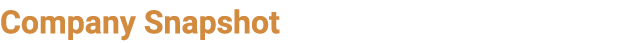 Company Snapshot