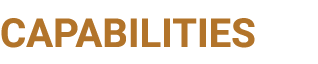 CAPABILITIES
